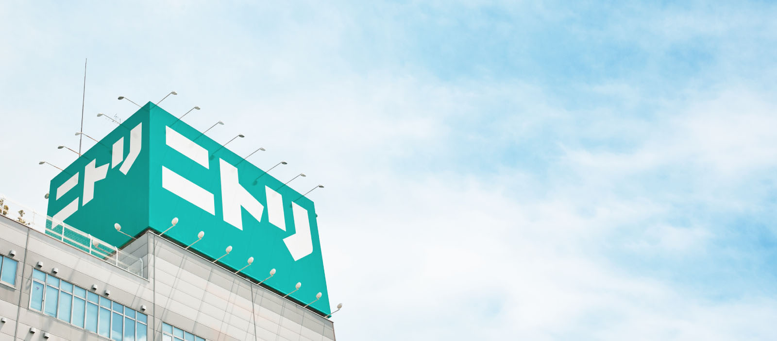 Company Information
