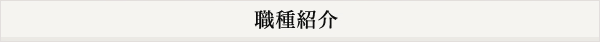 職種紹介