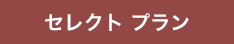SelectPlan